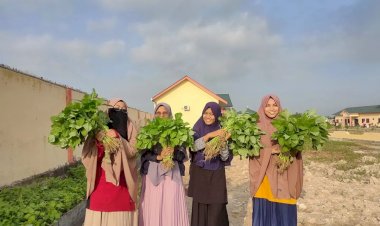 Pesantren Takhassus Putri Medan Berikhtiar Menciptakan Pesantren Mandiri Pangan