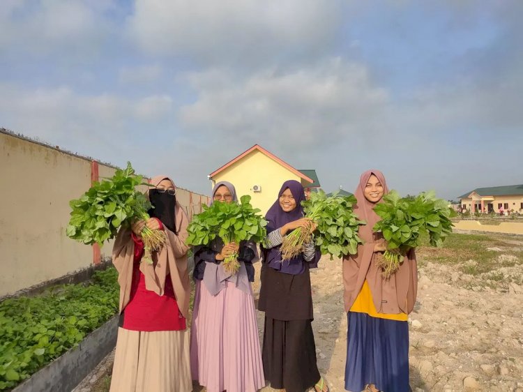 Pesantren Takhassus Putri Medan Berikhtiar Menciptakan Pesantren Mandiri Pangan