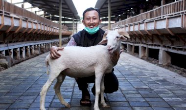PPPA Daarul Qur'an Gelar Pemotongan Hewan Qurban di Hari Raya Idul Adha 1443 Hijriyah