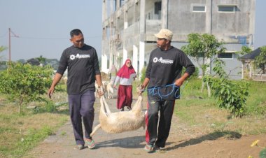 Waktu Terbaik Menyembelih Hewan Qurban