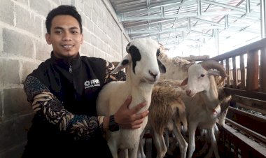 PPPA Daarul Qur'an Semarang Pastikan 31 Hewan Qurban yang Didistribusikan dalam Keadaan Sehat
