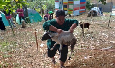 Aksi Vanciko, Santri Daarul Mansur Wanayasa Saat Bantu Penyembelihan Hewan Qurban