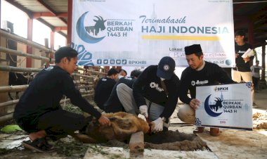 BPKH Bersama Laznas PPPA Daarul Qur'an Salurkan 284 Hewan Qurban pada Idul Adha 1443 Hijriyah