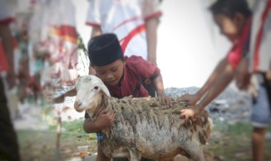 PPPA Daarul Qur’an Semarang Ajarkan Santri TPQ Daqu Berqurban
