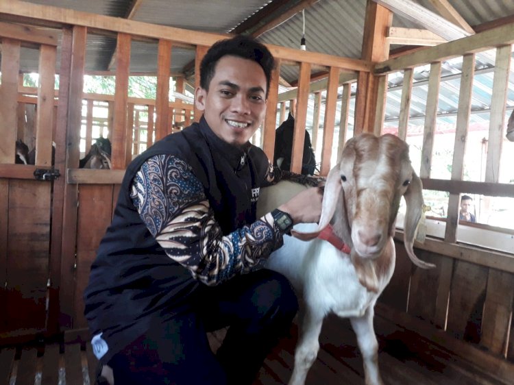 PPPA Daarul Qur'an Semarang Pastikan 31 Hewan Qurban yang Didistribusikan dalam Keadaan Sehat