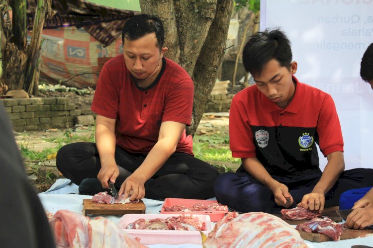 Rayakan Idul Adha, PPPA Daarul Qur'an Semarang Gelar Penyembelihan Hewan Qurban