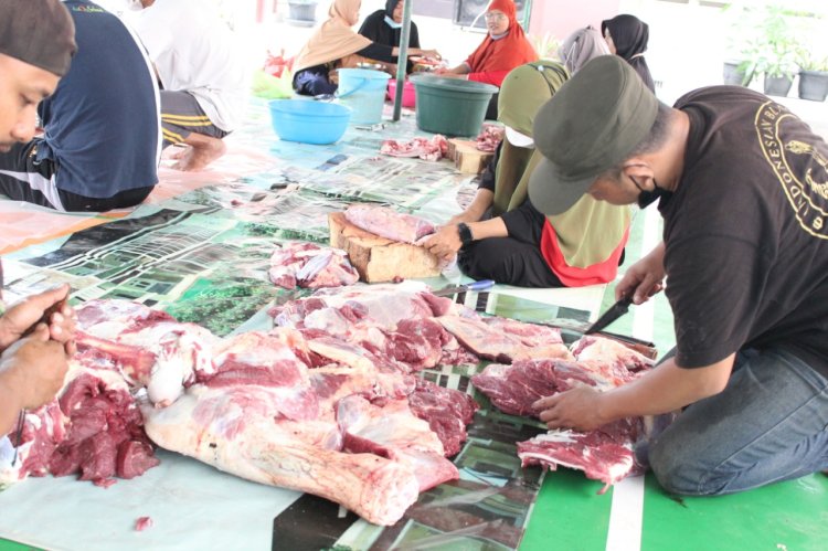 Rayakan Idul Adha, PPPA Daarul Qur'an Semarang Gelar Penyembelihan Hewan Qurban