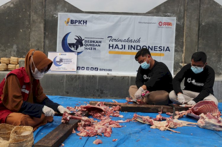 PPPA Daarul Qur'an Cirebon Bersama BPKH Distribusikan 10 Ekor Kambing di Pesisir Cirebon