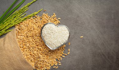 Kapan Waktu yang Utama untuk Mengeluarkan Zakat Fitrah?