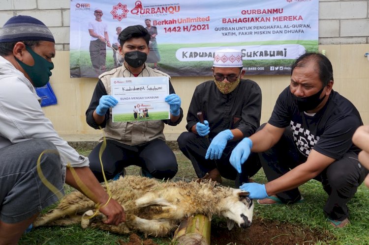 Tata Cara Menyembelih Hewan Qurban Sesuai Syariah