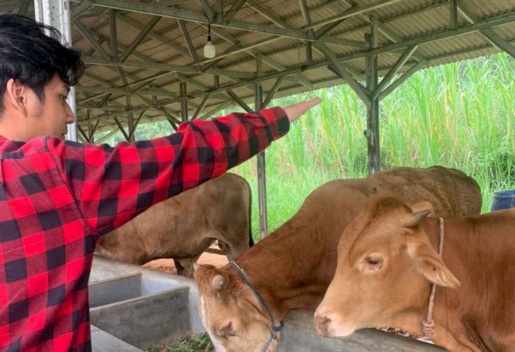 Jelang Idul Adha, PPPA Daarul Qur'an Banten Kunjungani DD Farm di Serang