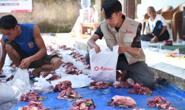 Senggol Berkah Qurban, Laznas PPPA Daarul Qur'an Tebar Manfaat untuk Santri Hingga Pejuang Nafkah