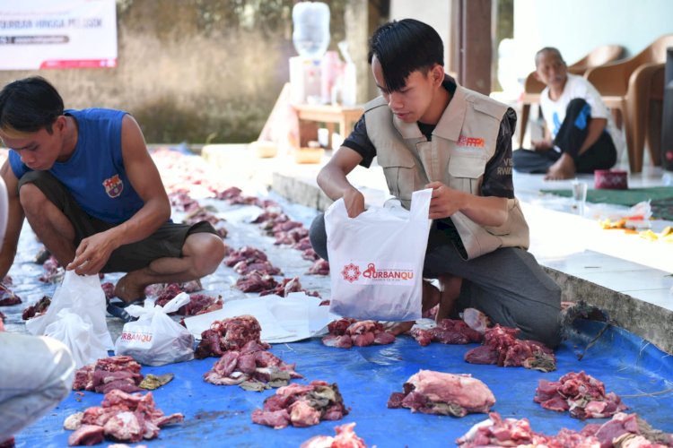 Senggol Berkah Qurban, Laznas PPPA Daarul Qur'an Tebar Manfaat untuk Santri Hingga Pejuang Nafkah