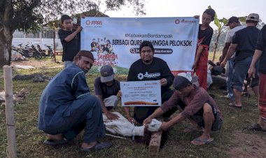 Gema Takbir Berkumandang, PPPA Daarul Qur'an Banten Gelar Penyembelihan Hewan Qurban di Pesantren Daarul Jameel