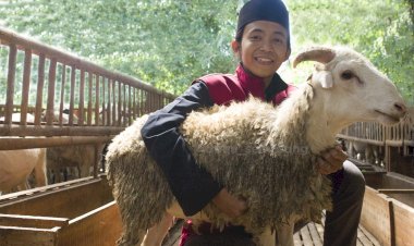 Persiapan PPPA Daarul Qur’an Semarang jelang Idul Adha 1444 H