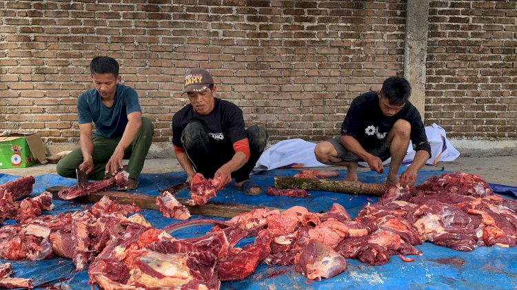 2 Sapi Amanah BPKH untuk Santri dan Masyarakat di Kaki Gunung Bawakaraeng