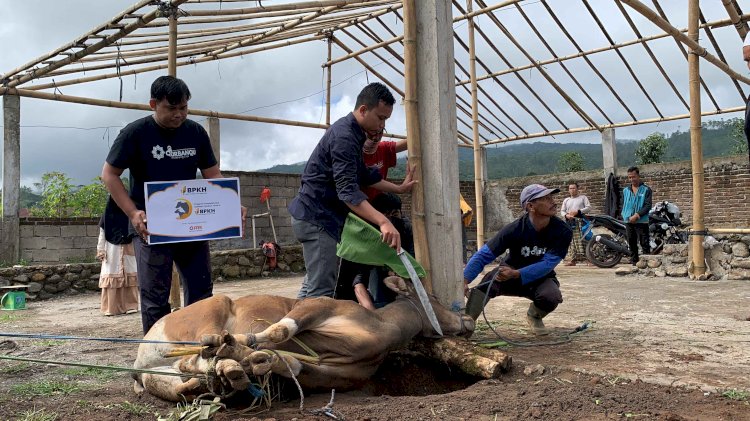 2 Sapi Amanah BPKH untuk Santri dan Masyarakat di Kaki Gunung Bawakaraeng