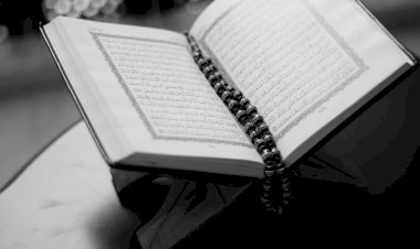 Al-Quran: Cahaya Petunjuk dan Sumber Ilmu Kehidupan