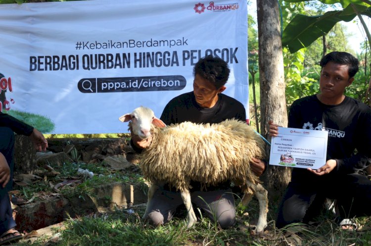 9 Hewan Patungan Qurban untuk Pesantren Takhassus dan Rumah Tahfizh