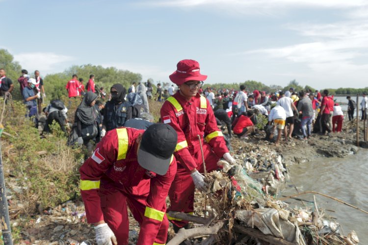 Aksi Tim Kasih Mega Clean Up Pantai Cirebon Bersama Pandawara Group