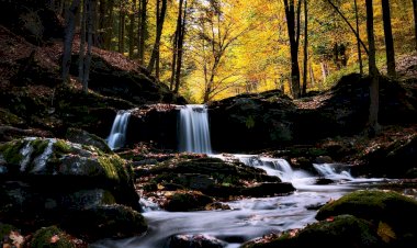 Kisah Utsman bin Affan: Sumur Keberkahan