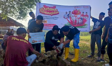 Laznas PPPA Daarul Qur'an Banten Gelar Pemotongan dan Bagikan Daging Kurban di Pesantren Daarul Jameel, Kampung Rencong