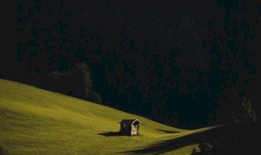 Tanda-Tanda Kebodohan: Tadabbur Hikmah ke-17 Kitab Al-Hikam Ibn Athaillah