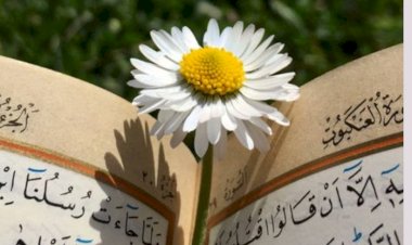 Tadabbur Surah Al-Kautsar