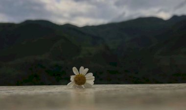 Antara Flexing dan Tahaddus Bin Ni'mah