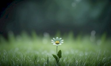 Self Love Bukan Hal yang Egois: Belajar Mencintai Diri dengan Bijak