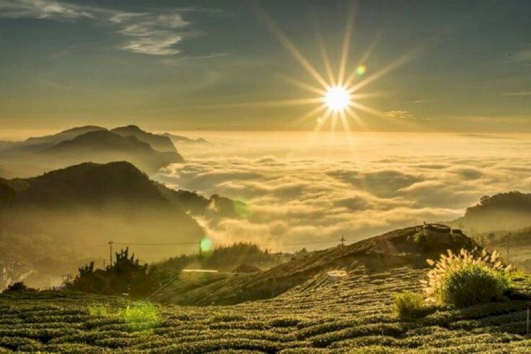 Tiga Negeri yang Allah Berkahi: Tadabbur Surah At-Tin