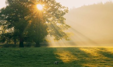 Waspada Terhadap Syirik Tersembunyi: Hikmah ke-21 Kitab Al-Hikam