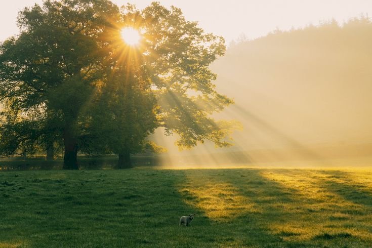 Waspada Terhadap Syirik Tersembunyi: Hikmah ke-21 Kitab Al-Hikam