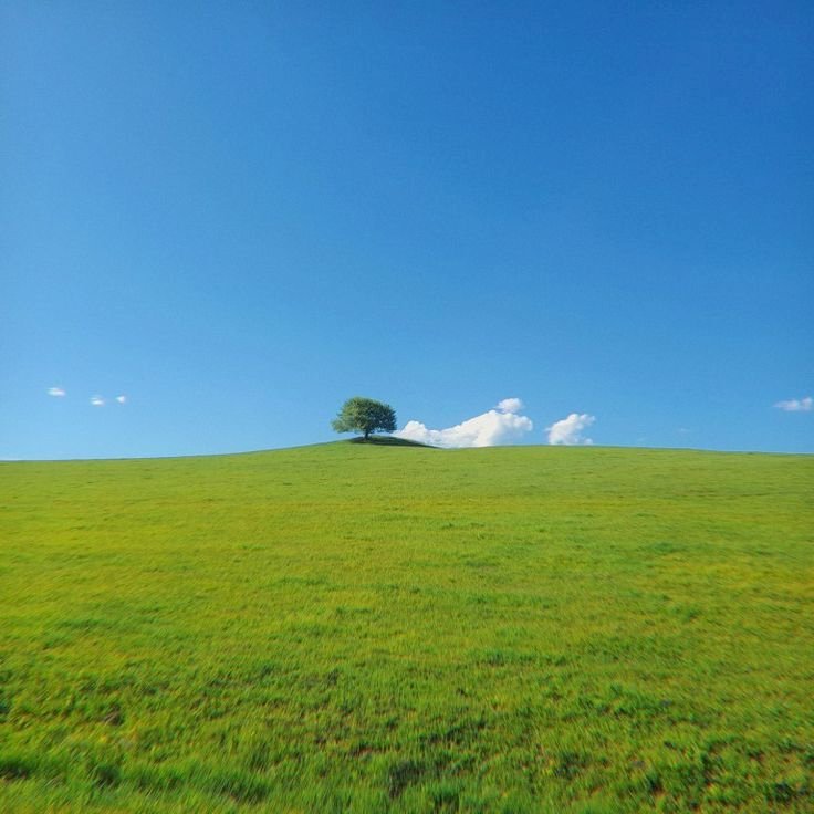 Tanda Cinta pada Rasulullah SAW : Tadabur Surah Al Imran Ayat 30-33