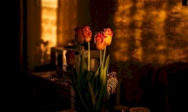 Biarkan Hatimu yang Memilih: Menemukan Petunjuk Allah di Setiap Keputusan