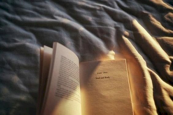 Antara Usaha dan Takdir: Tafsir Tadabbur Surah Al-Baqarah Ayat 284–286