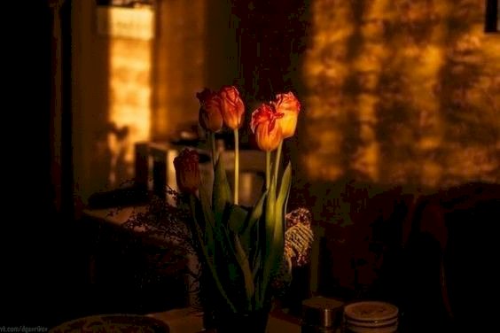 Biarkan Hatimu yang Memilih: Menemukan Petunjuk Allah di Setiap Keputusan