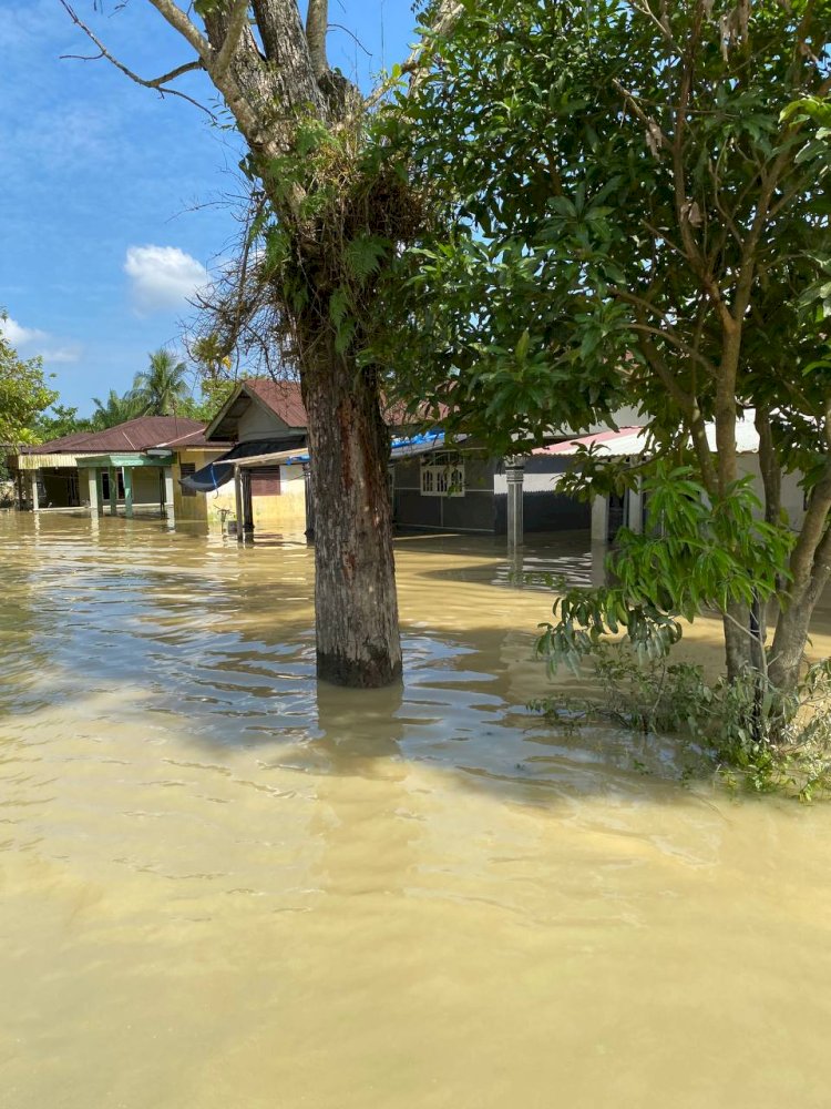 Empat Hari Tanpa Bantuan, Kami Lapar…” — PPPA Daarul Qur’an Medan Tembus Banjir Langkat untuk Salurkan Bantuan Tahap 3