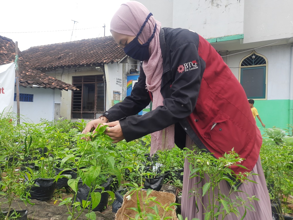 KampungQu Sehat Panen Perdana