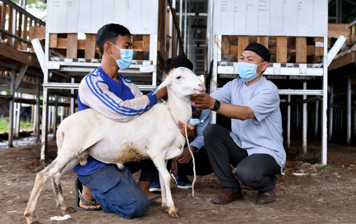 Doa Ketika Menyembelih Hewan Qurban