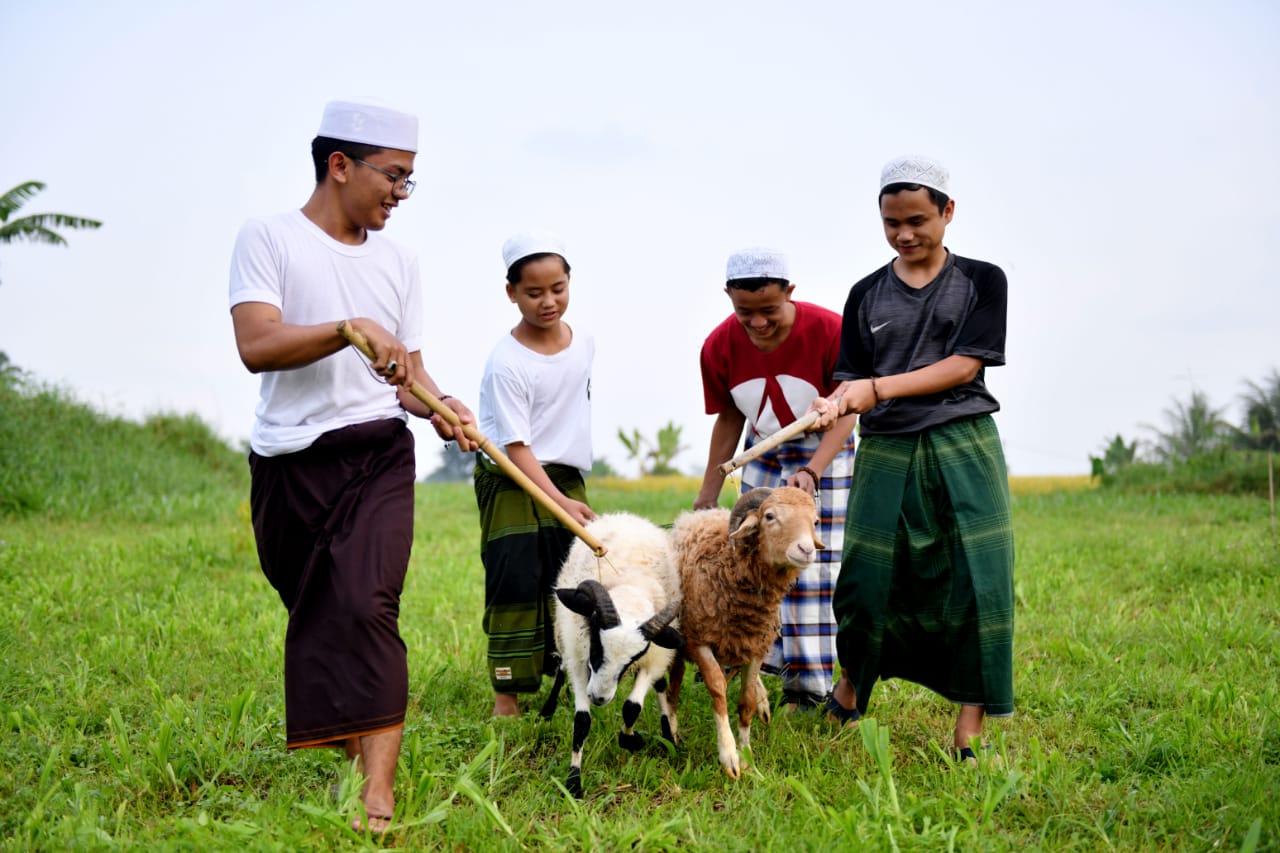 Patungan Qurban, Bolehkah?