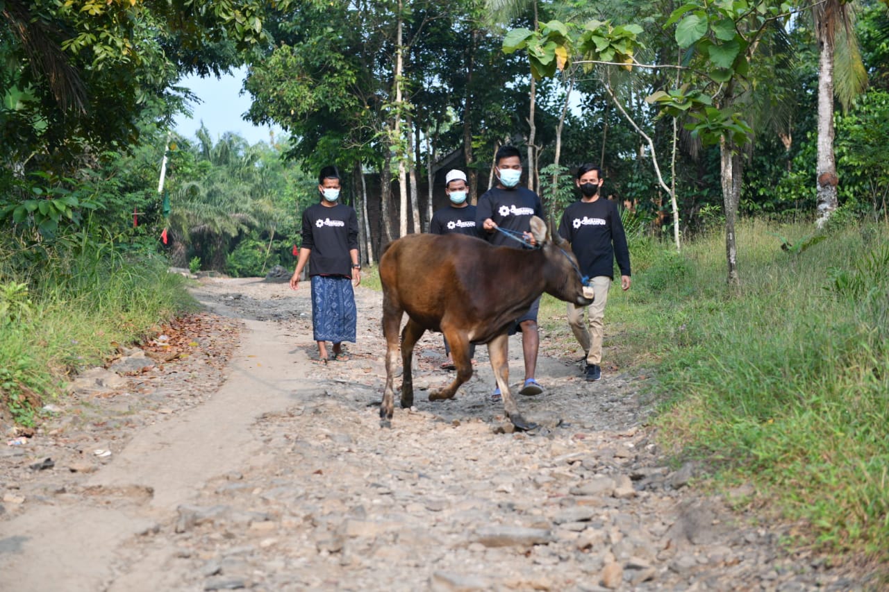 Idul Adha 1442 H, PPPA Daarul Qur'an Salurkan Hewan Qurban untuk Santri, Duafa Hingga Masyarakat Terdampak Covid-19