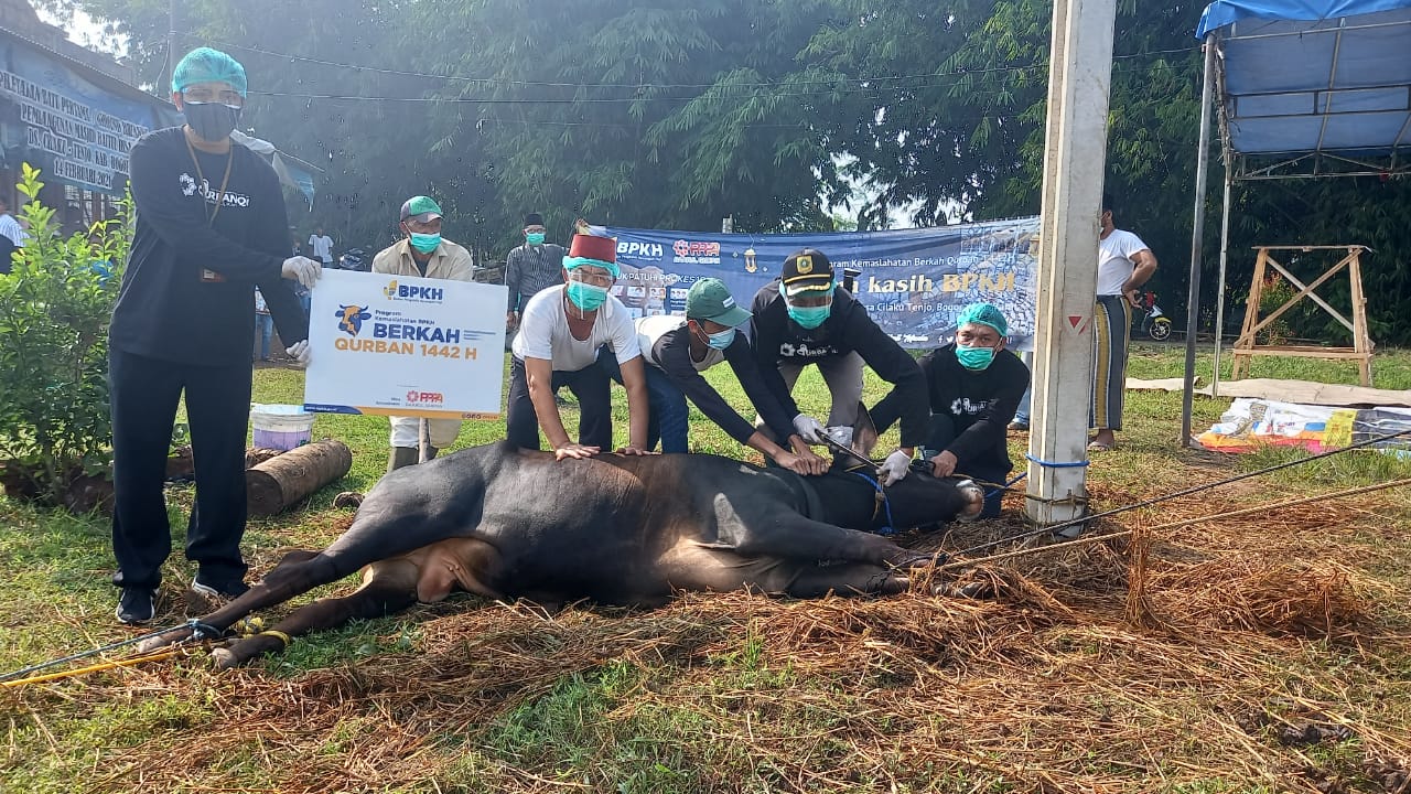 BPKH dan PPPA Daarul Qur'an Salurkan Hewan Qurban untuk Masyarakat Cilaku Tenjo Bogor