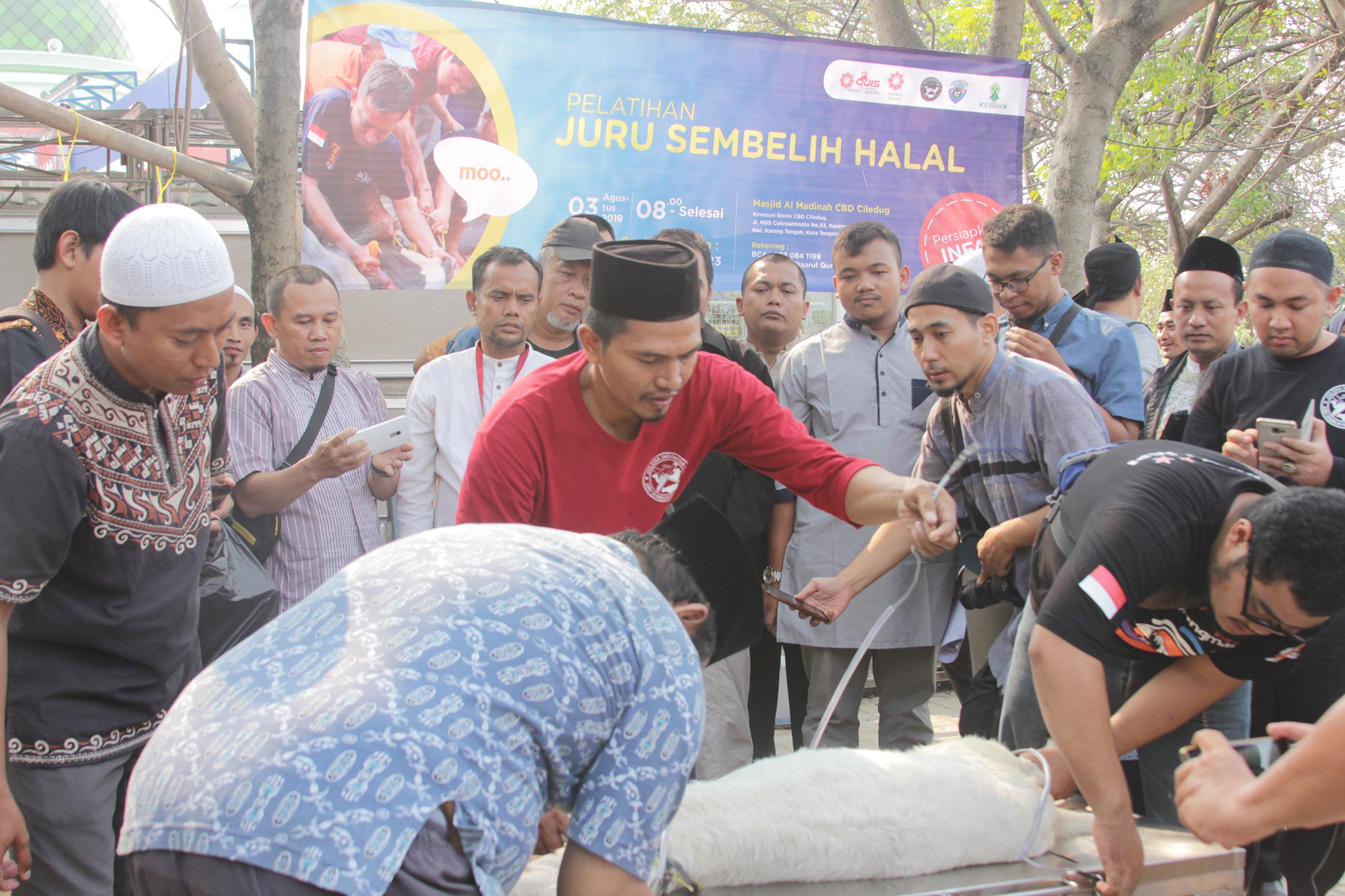 Inilah Hal-hal yang Harus Diperhatikan Juleha Saat Menyembelih Hewan Qurban Agar Halal Dikonsumsi