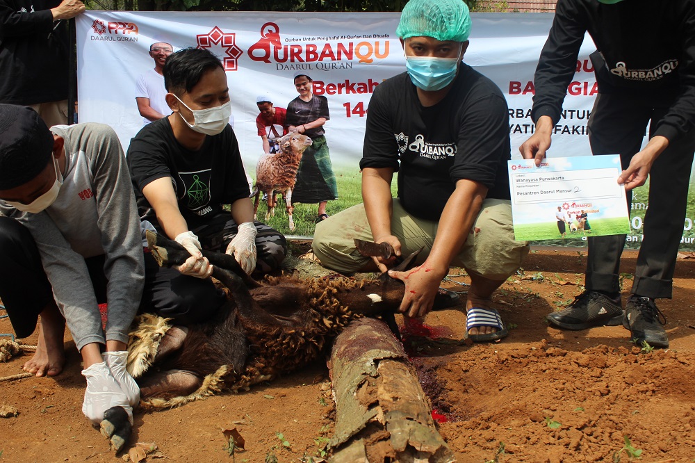 PPPA Daarul Qurâ€™an Bandung Gelar Penyembelihan Hewan Qurban Selama 4 Hari Berturut-turut