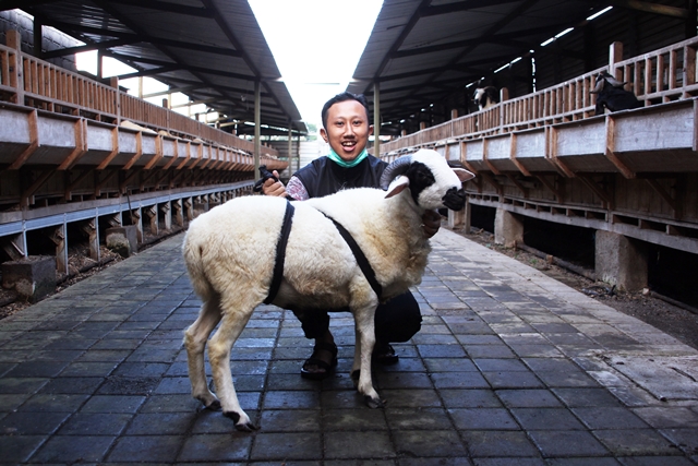 Ini Tata Cara Qurban Ditengah Pandemi Covid-19