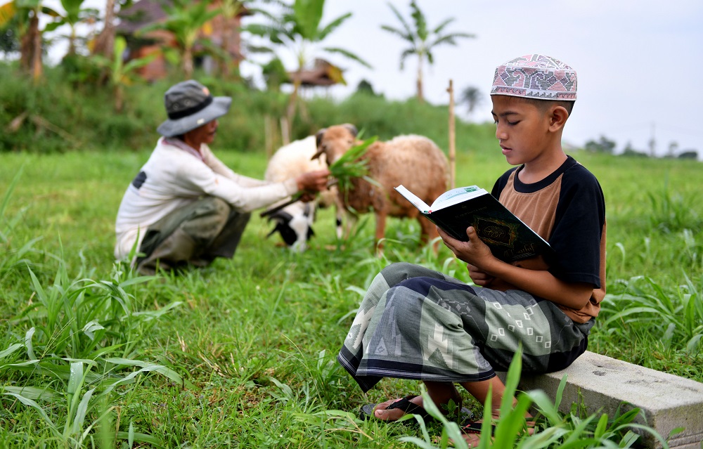 Qurban Berkah Unlimited