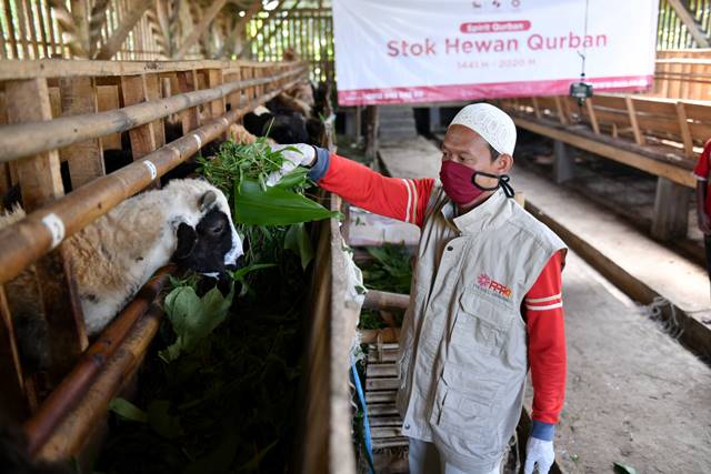 Satu Keluarga Qurban Satu Ekor Kambing, Bolehkah?