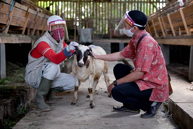 Qurban Secara Online, Bolehkah?