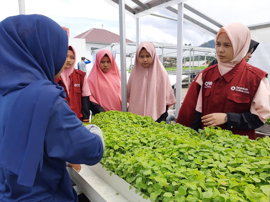 Kerika Para Hafidzah Belajar Berkebun Secara Hidroponik